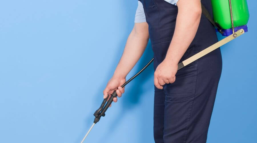 Why choose Bed Bug Exterminator NYC for bed bug exterminator nyc in New York City